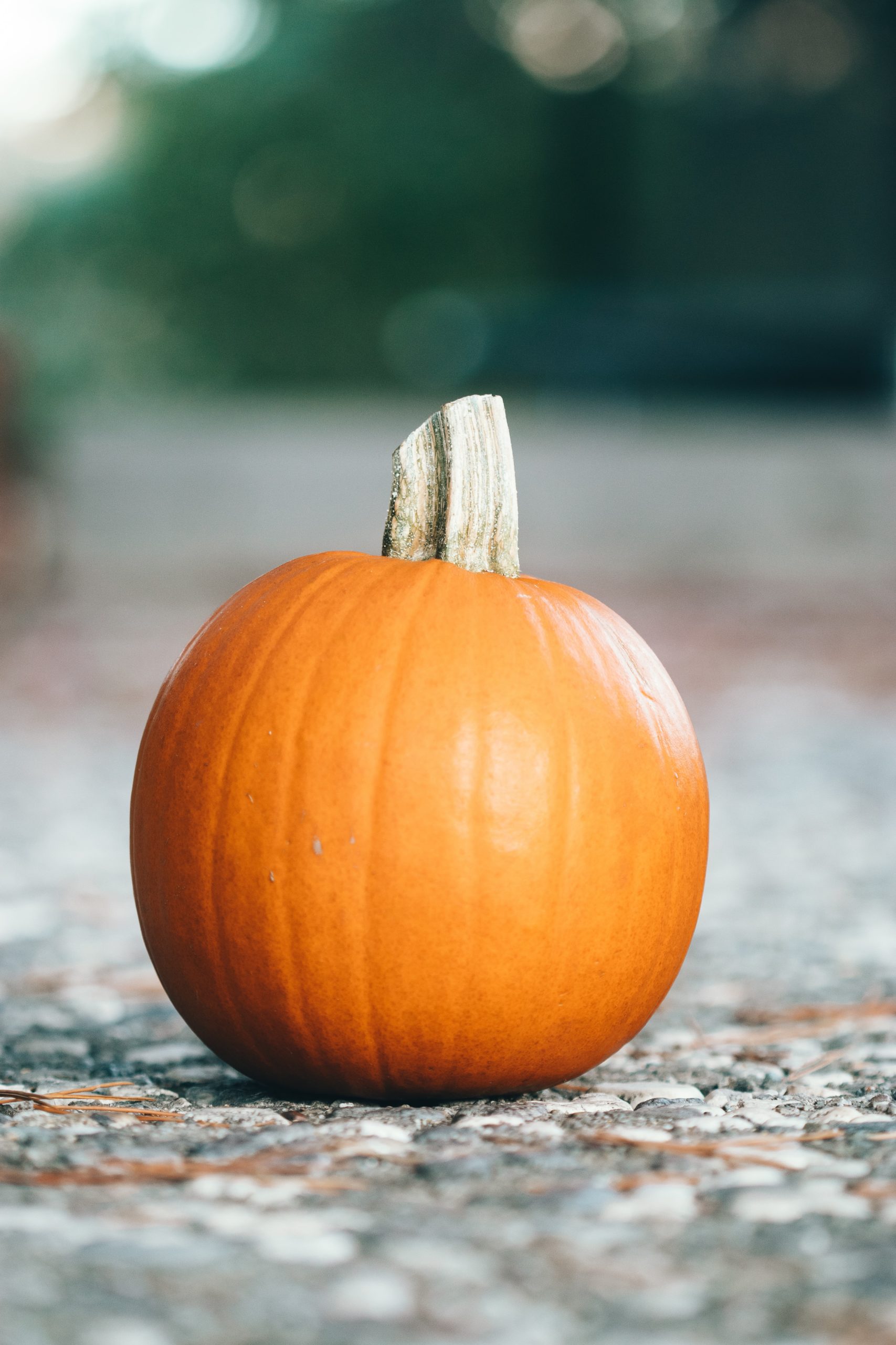 6 Reasons Why Pumpkin Is Super Healthy For You
