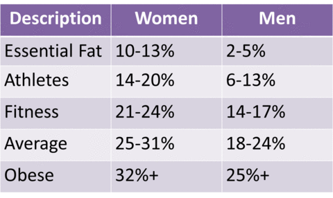 Muscle Percentage Chart