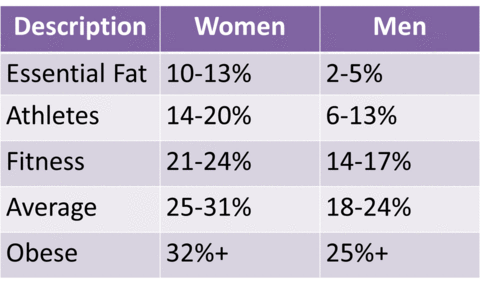 Body Fat Chart Female