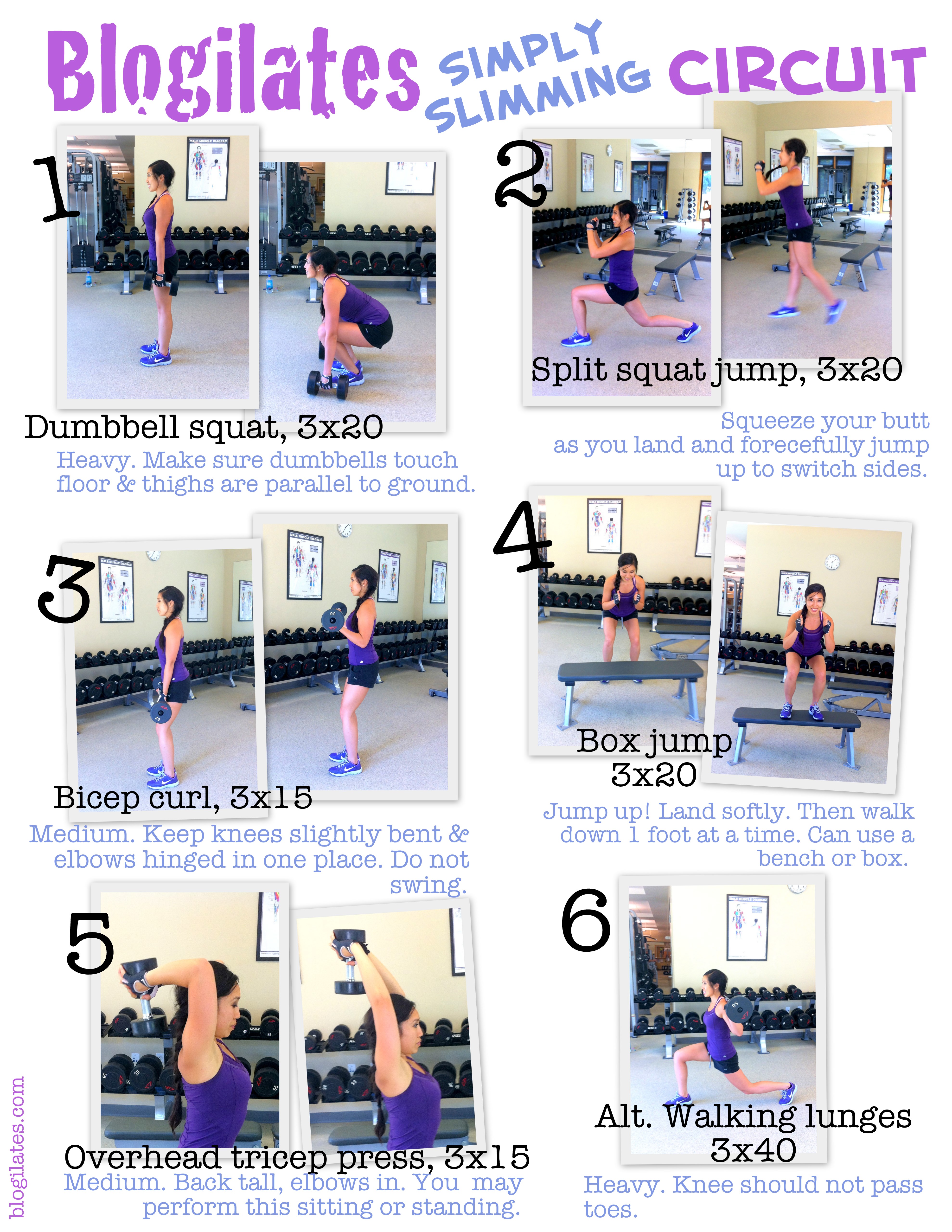 Printable Weight Lifting Workout Chart