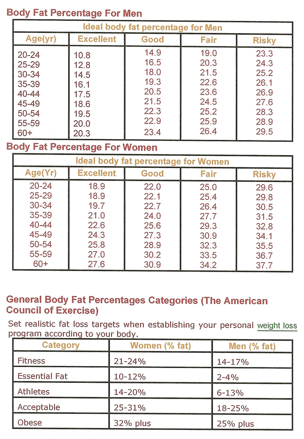 ACE body fat percentage chart