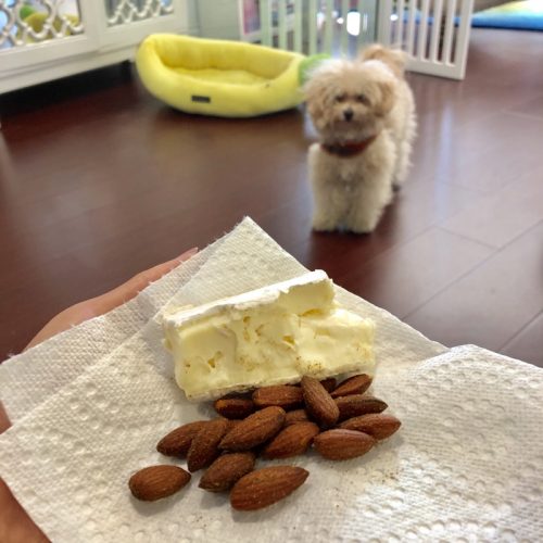 Can you lose weight and be body positive? Day 7 of 90 Blogilates