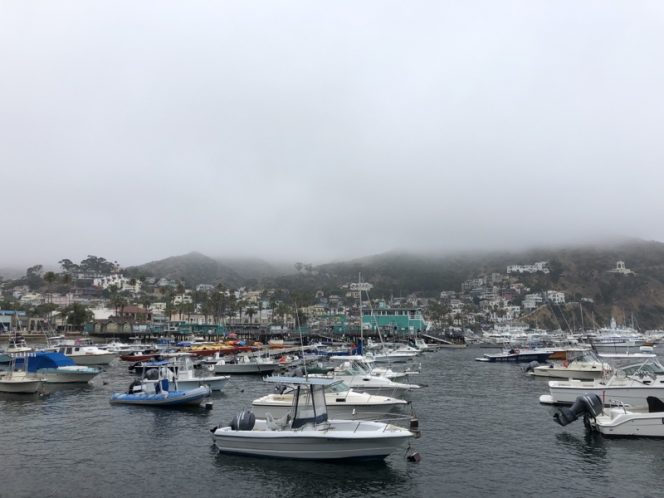 catalina island