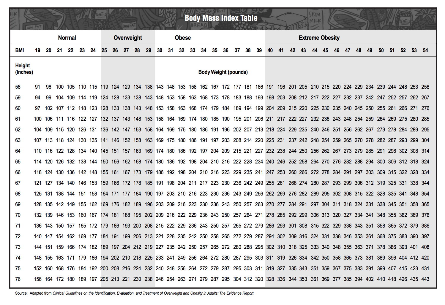 Ace Bmi Chart