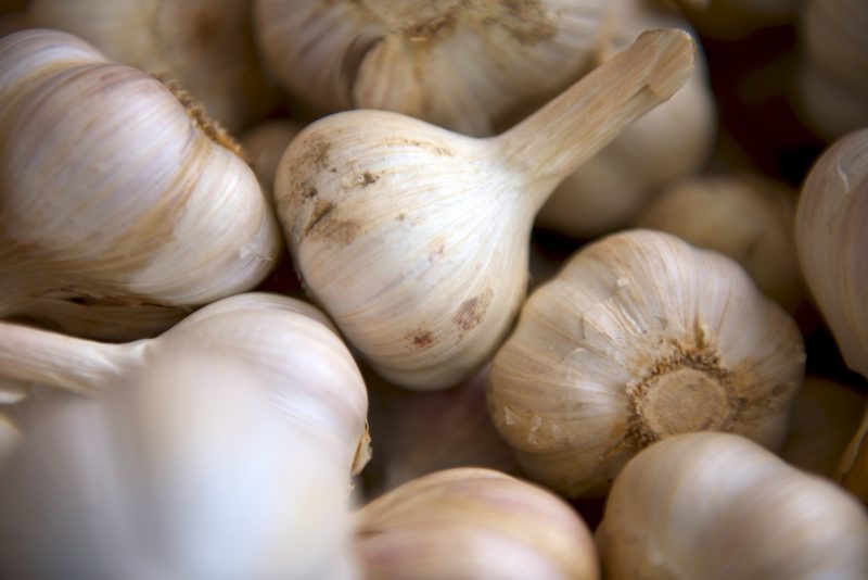 blogilates garlic bulbs healthy immune system food