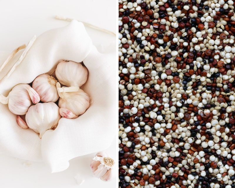 bulbs of garlic and tri color quinoa food pairing