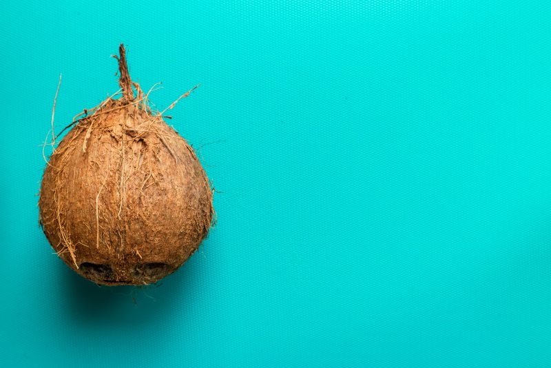 coconut teal background