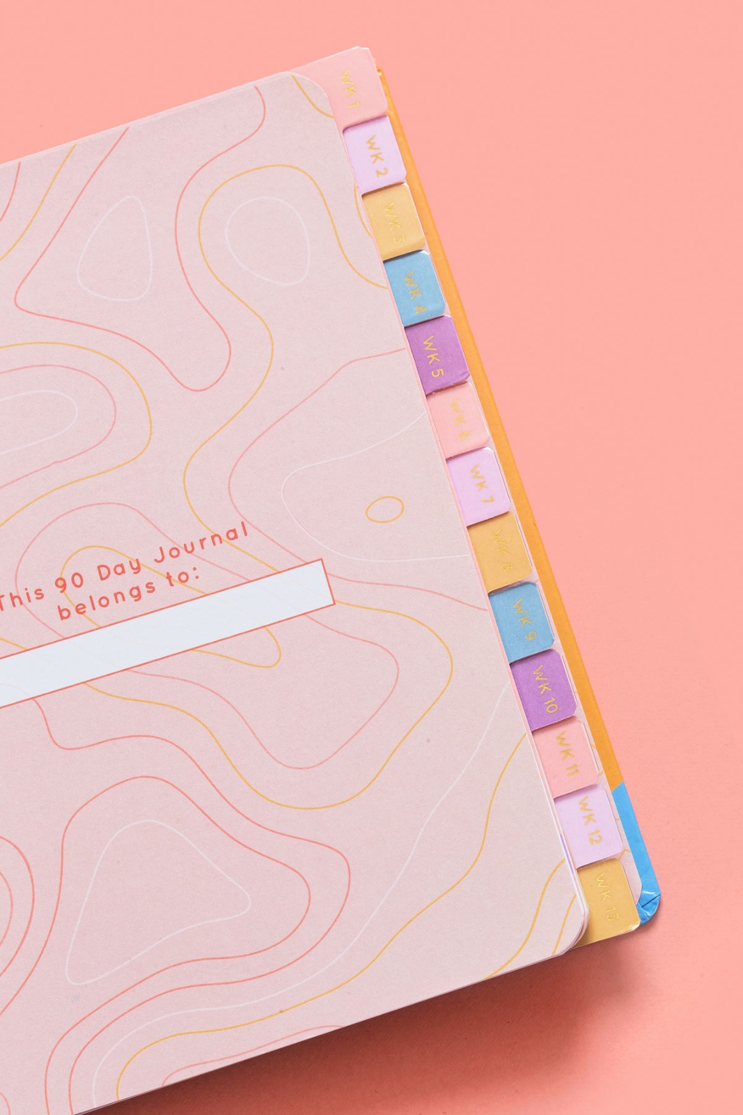 90 day journal blogilates fitness goals motivation