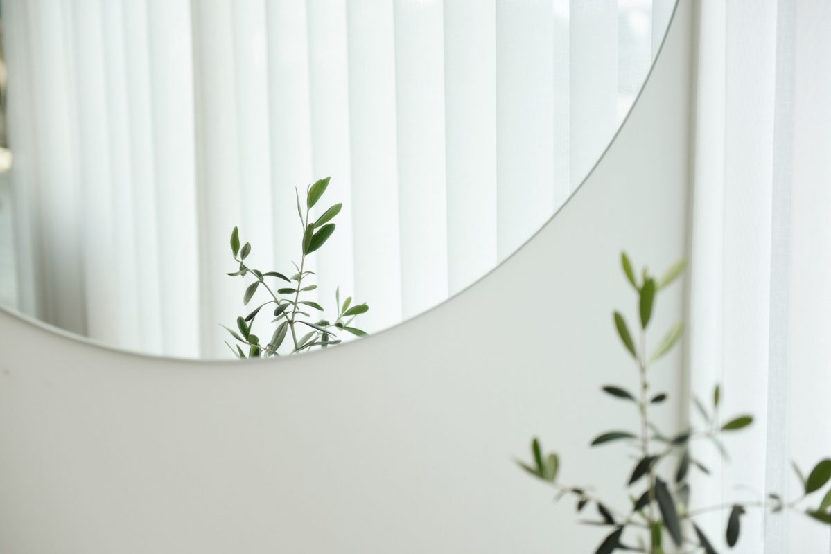 mirror on wall with plant