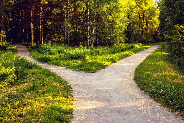 fork in road making big decisions life path