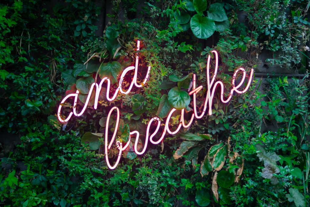 and breathe pink neon sign on plant backdrop