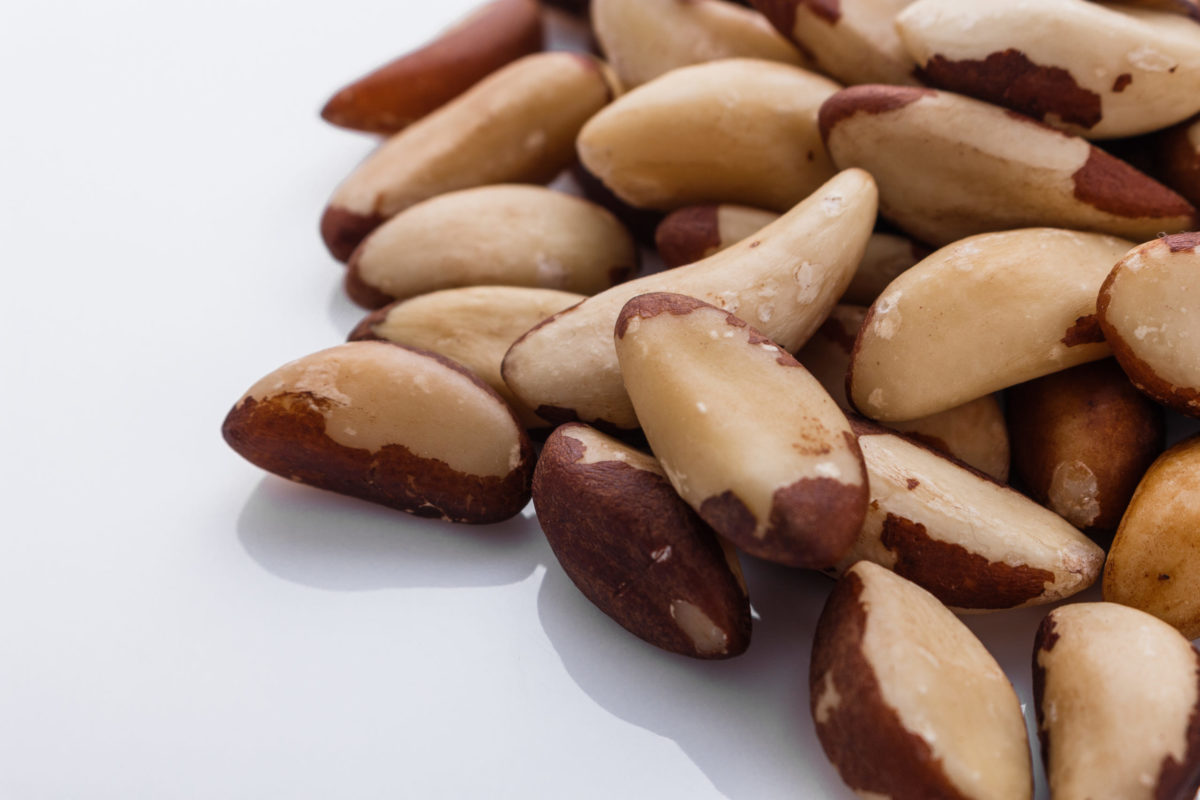 brazil nut on a white acrylic background