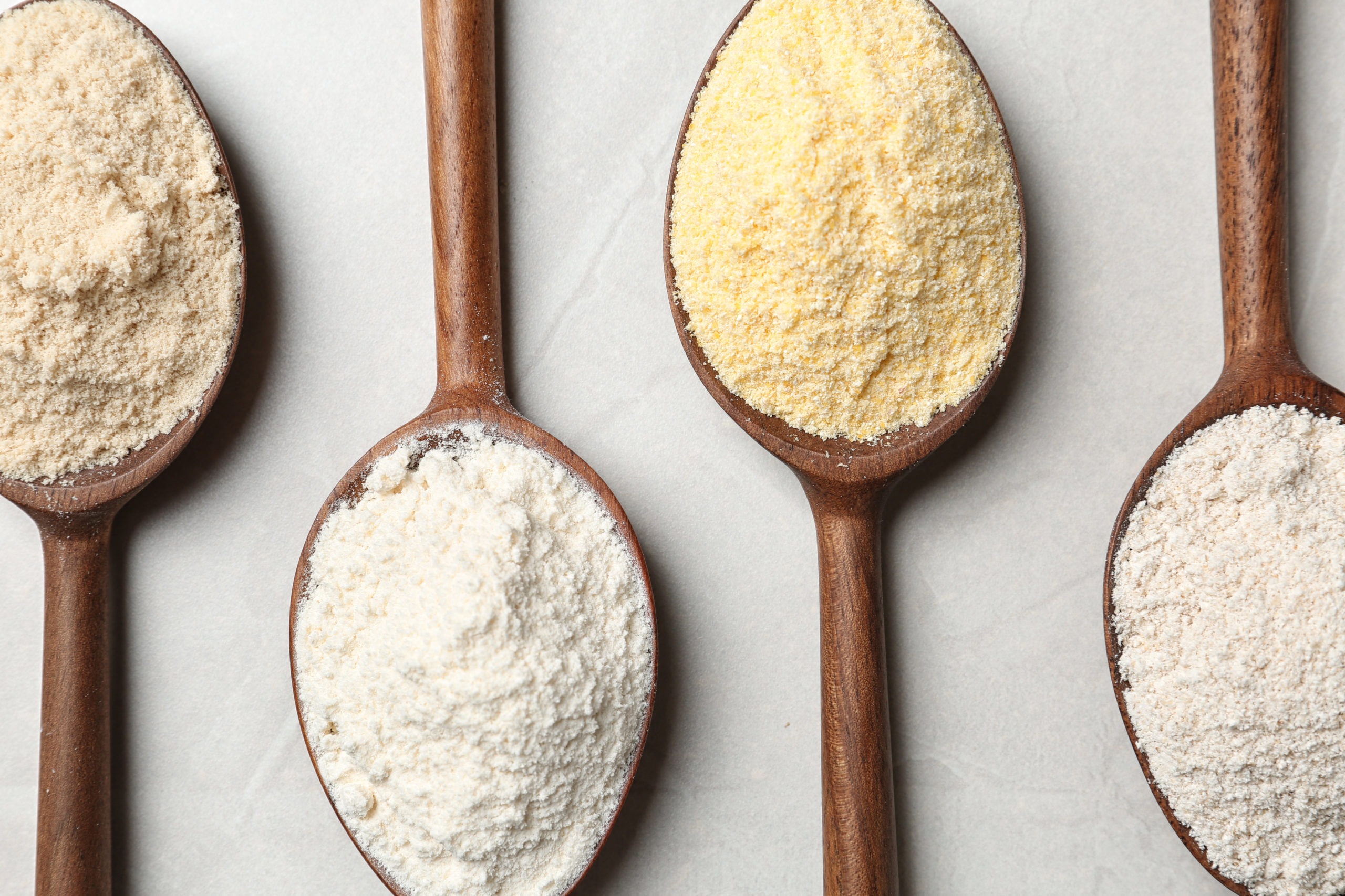 spoons with different types of protein powder