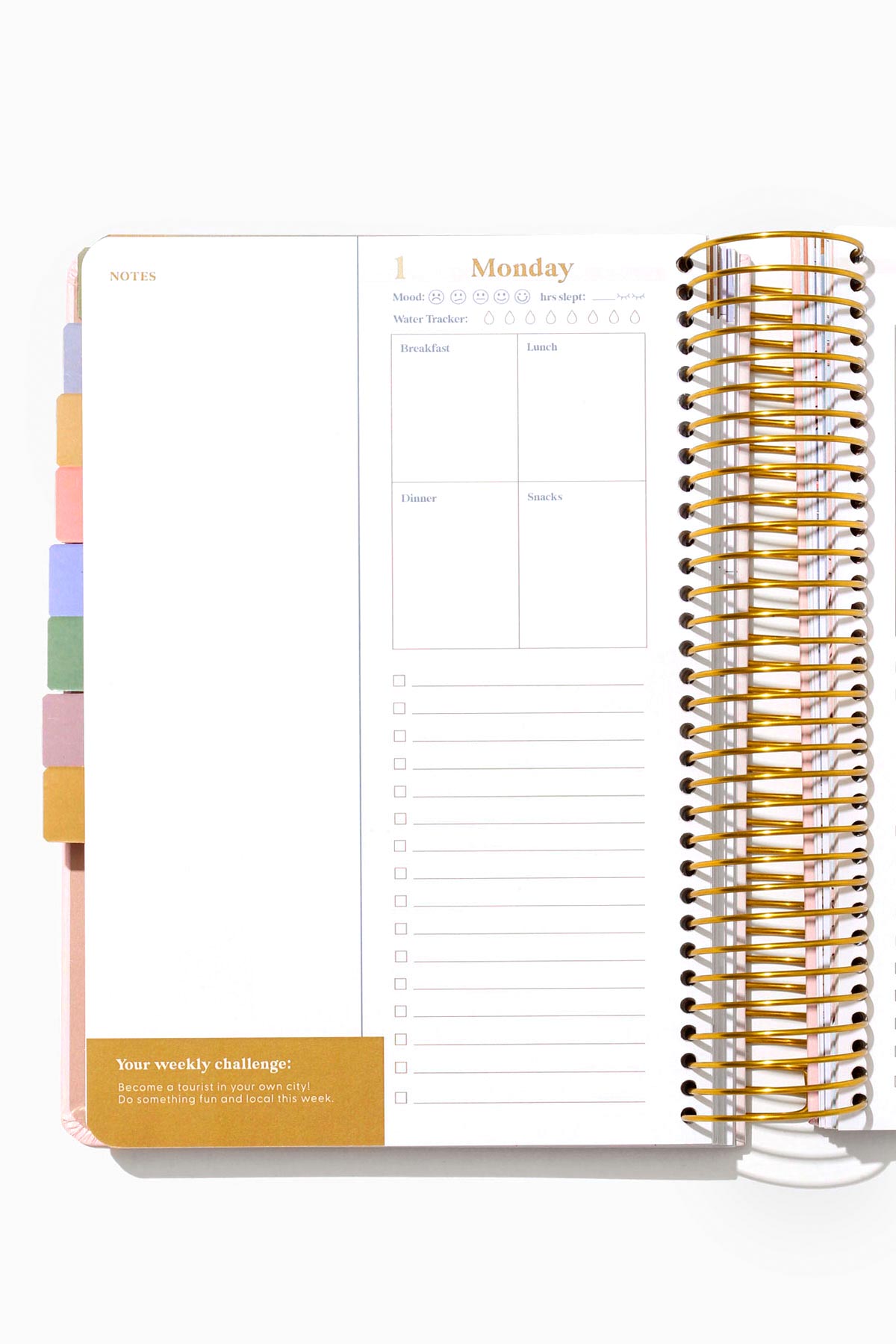 popflex 2022 fit planner daily page view