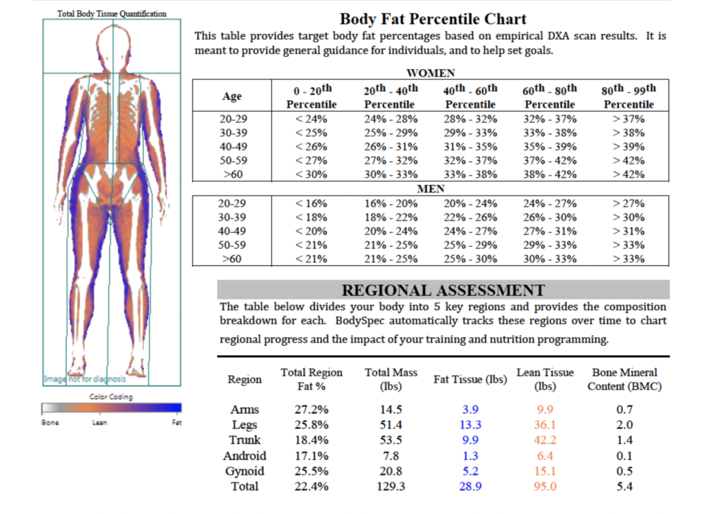 example of dexa scan results build muscle in calorie deficit body recomposition