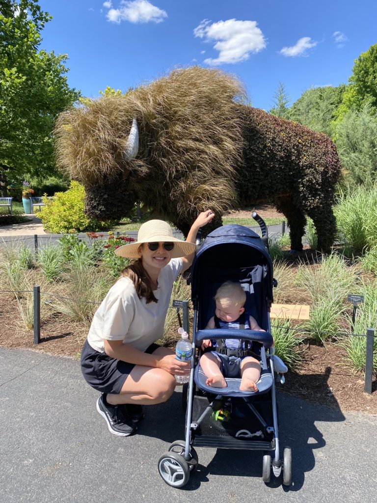 exercise as a new mom walking at the zoo