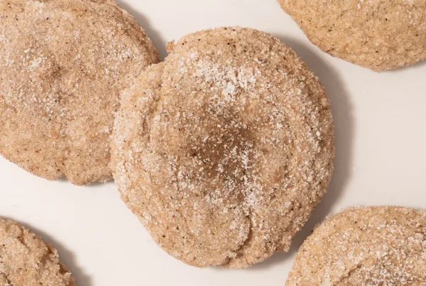 gluten free dairy free snickerdoodle cookies with protein