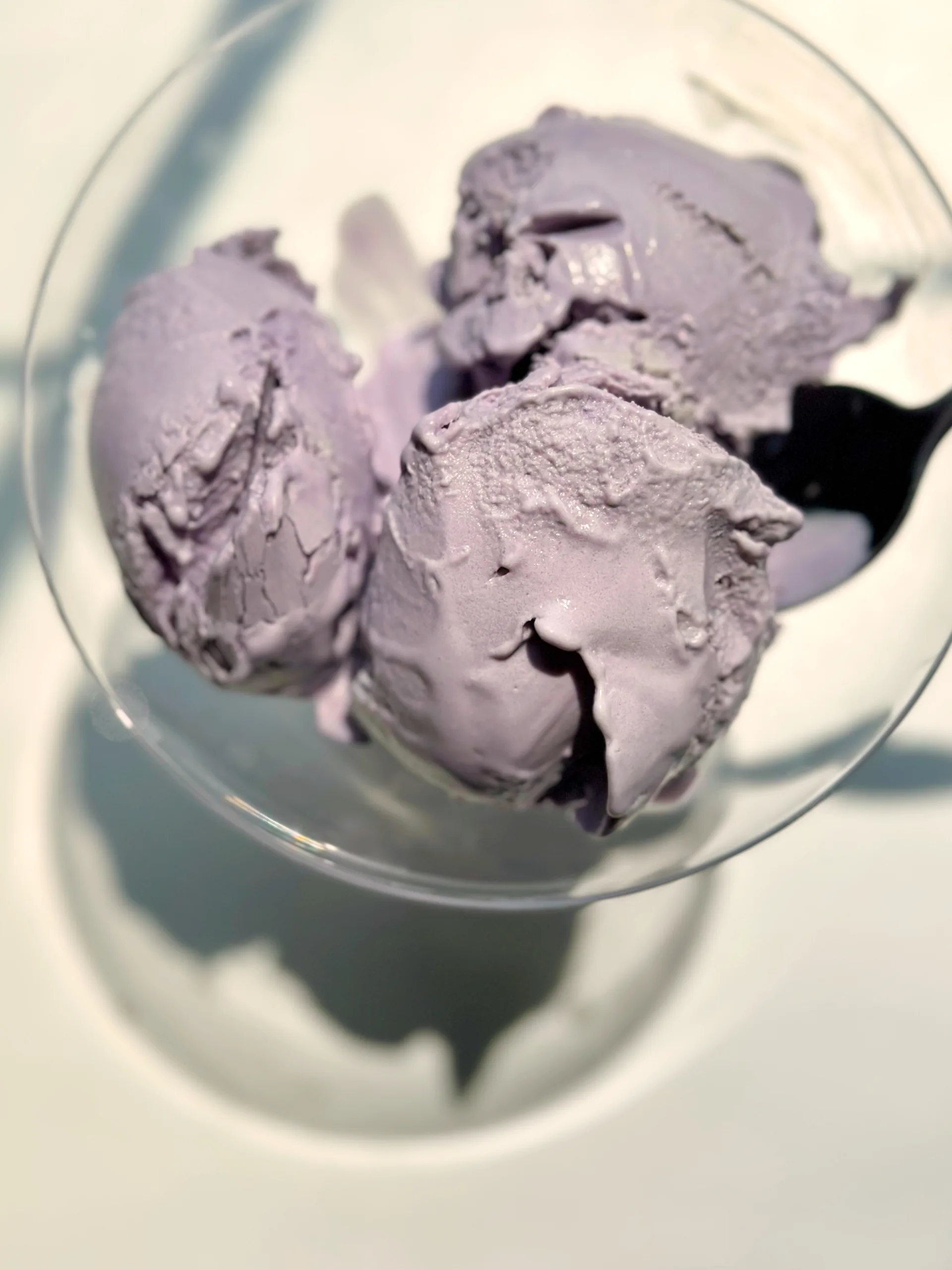 Chunky Monkey Protein Ice Cream (Ninja CREAMi) - Little Bits of