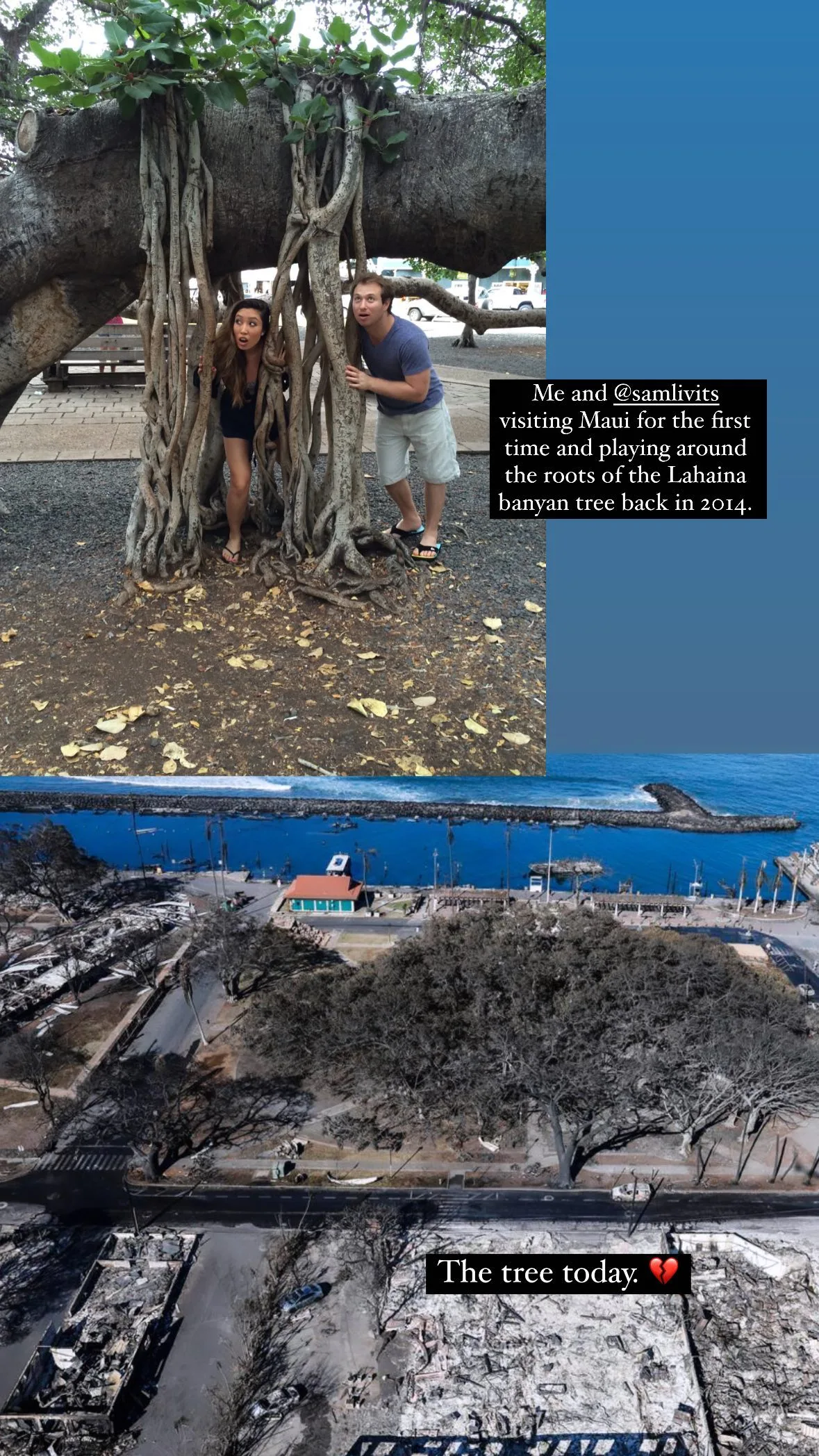 cassey and sam lahaina maui banyan tree before and after wildfire